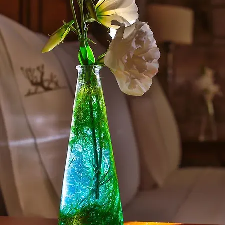 Hotel Kose Butik Hotel-special Alaçatı